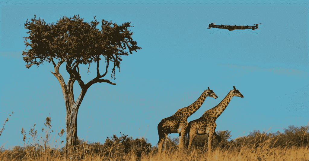 How do I get travel insurance for safari?