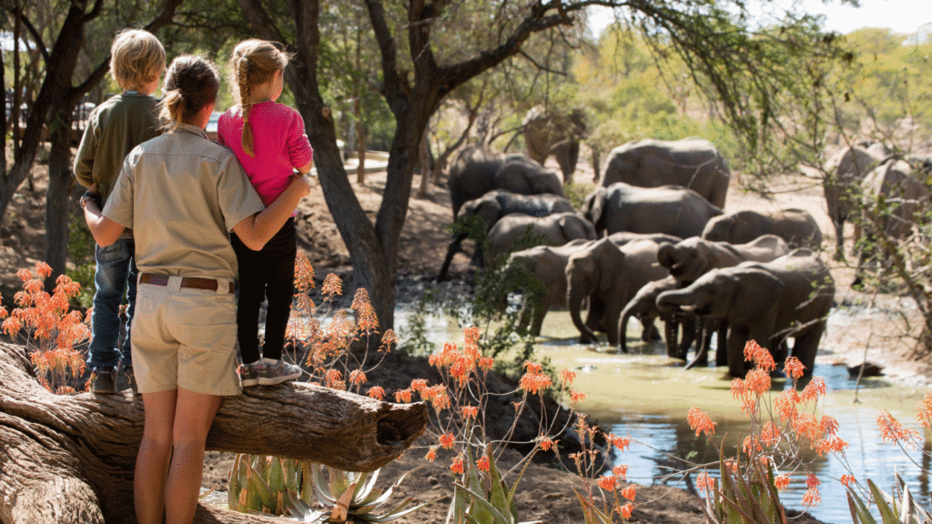 How do I plan a family safari vacation?
