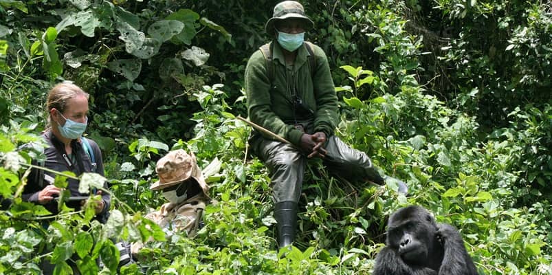 How do I stay healthy while traveling in East Africa?