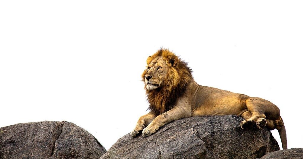 How to plan a honeymoon itinerary in East Africa?