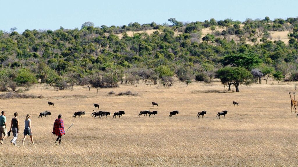 sustainable tourism Kenya