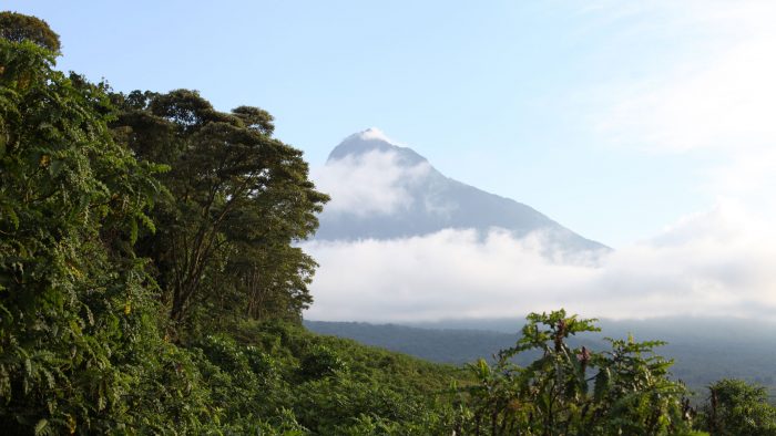 conservation in Virunga National Park
