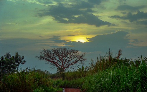 What are the best sunrise viewpoints in Uganda?