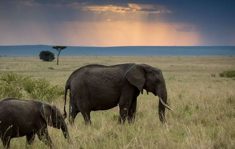 What’s the best 5-day Rwanda safari itinerary?