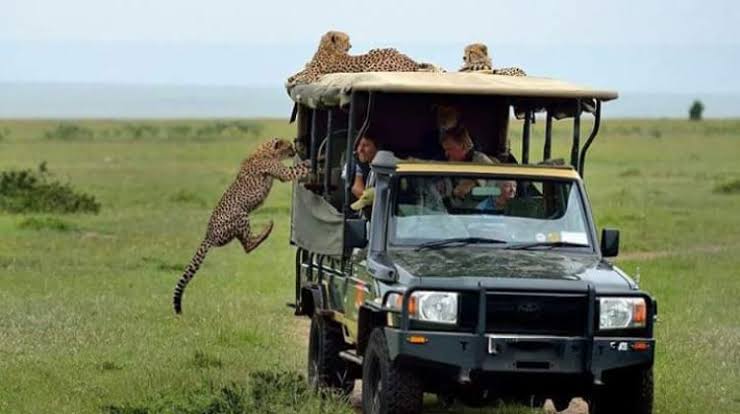 What’s the best time to visit Maasai Mara for photography?