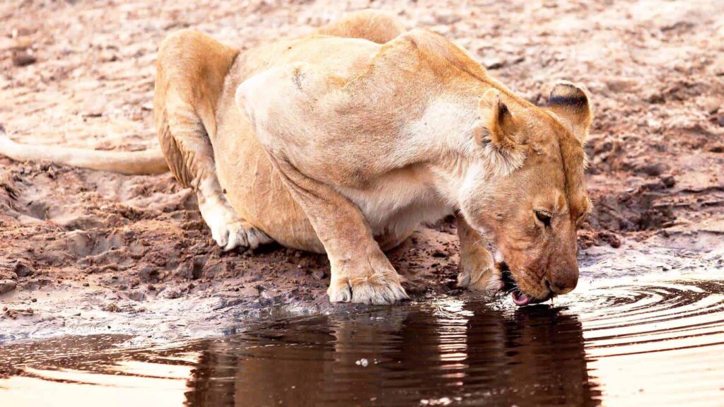 What’s the most underrated park in East Africa?