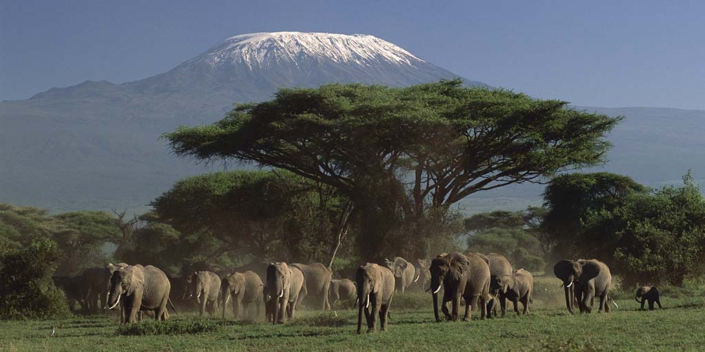 What’s the ultimate 14-day East Africa safari route?