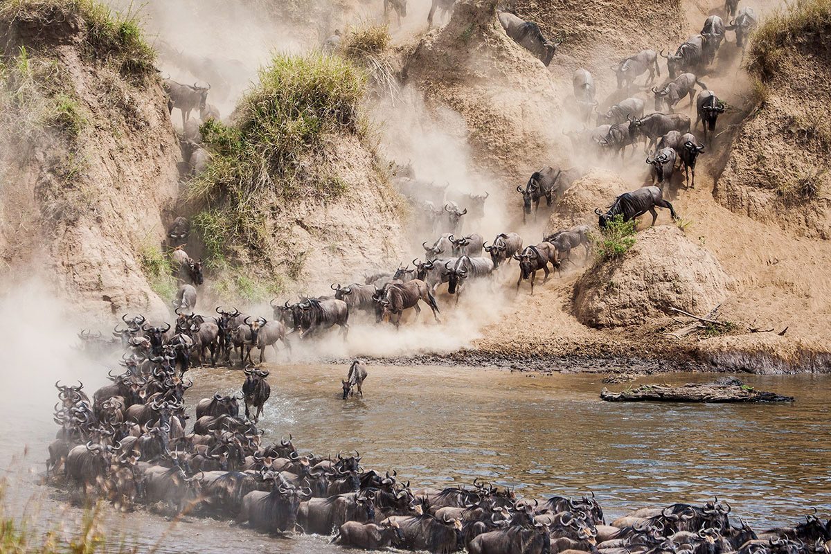 Best Camps to See the Wildebeest River Crossings