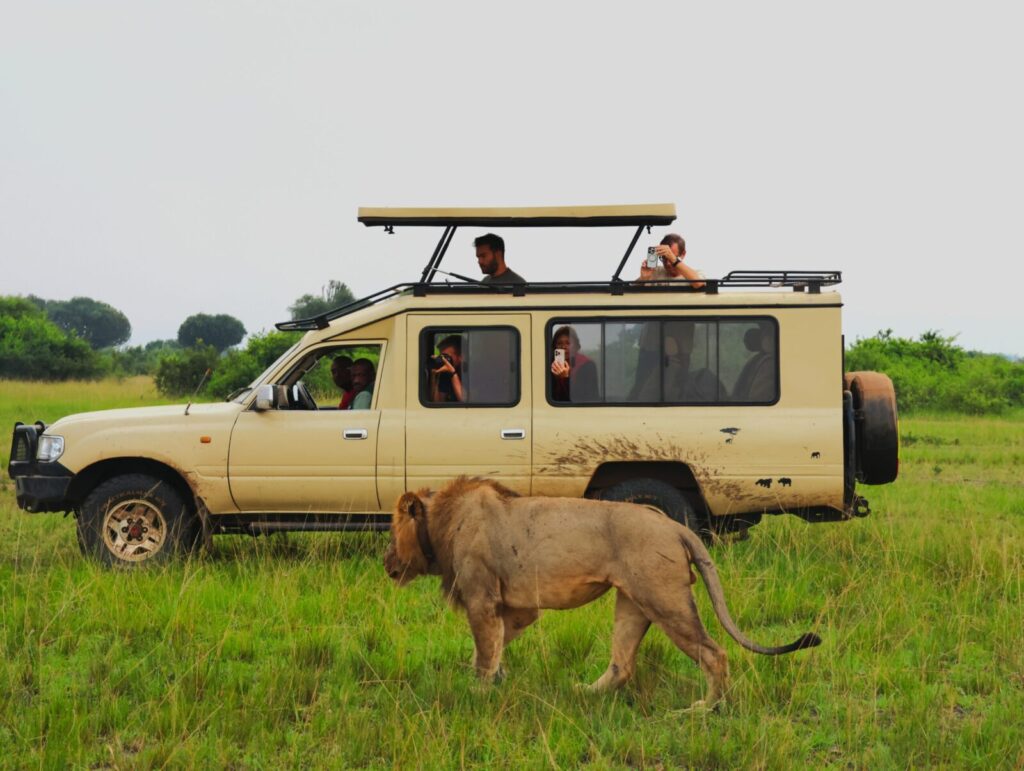 Best Day Trips from Kigali for Safari Lovers