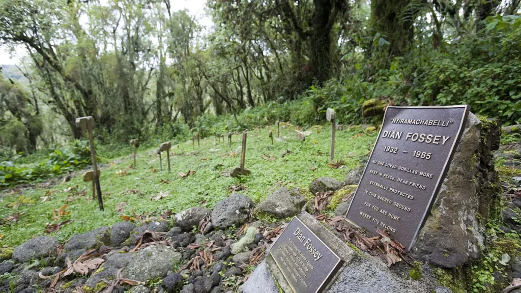 Dian Fossey’s Tomb Hike