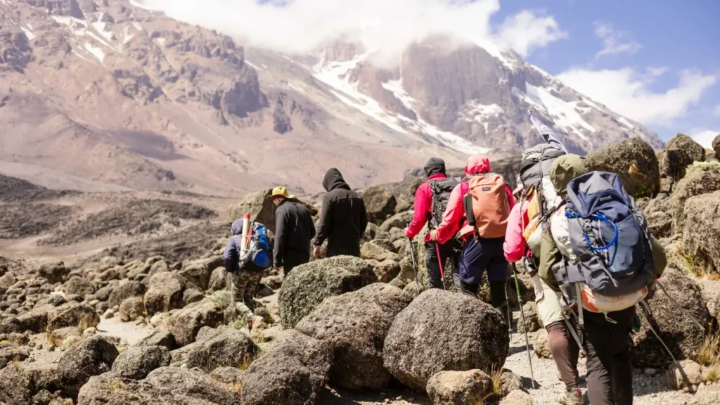 Kilimanjaro Summit Success Rates
