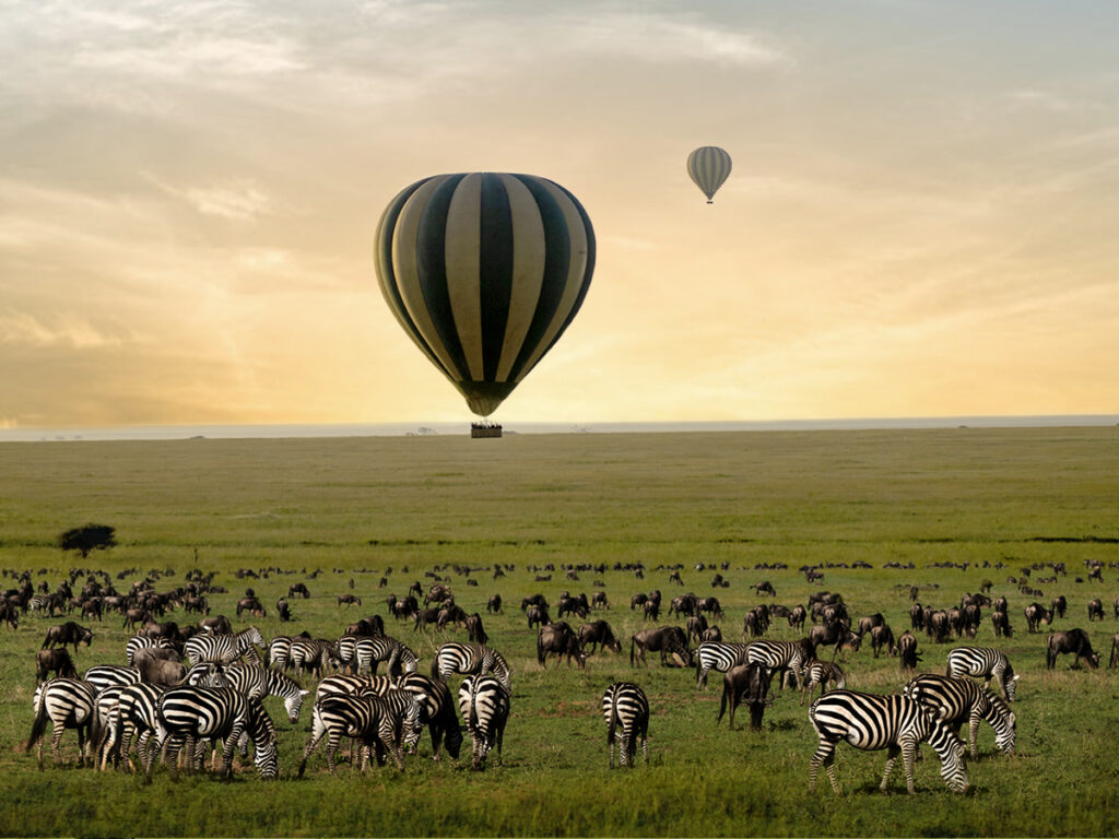Serengeti Balloon Safaris