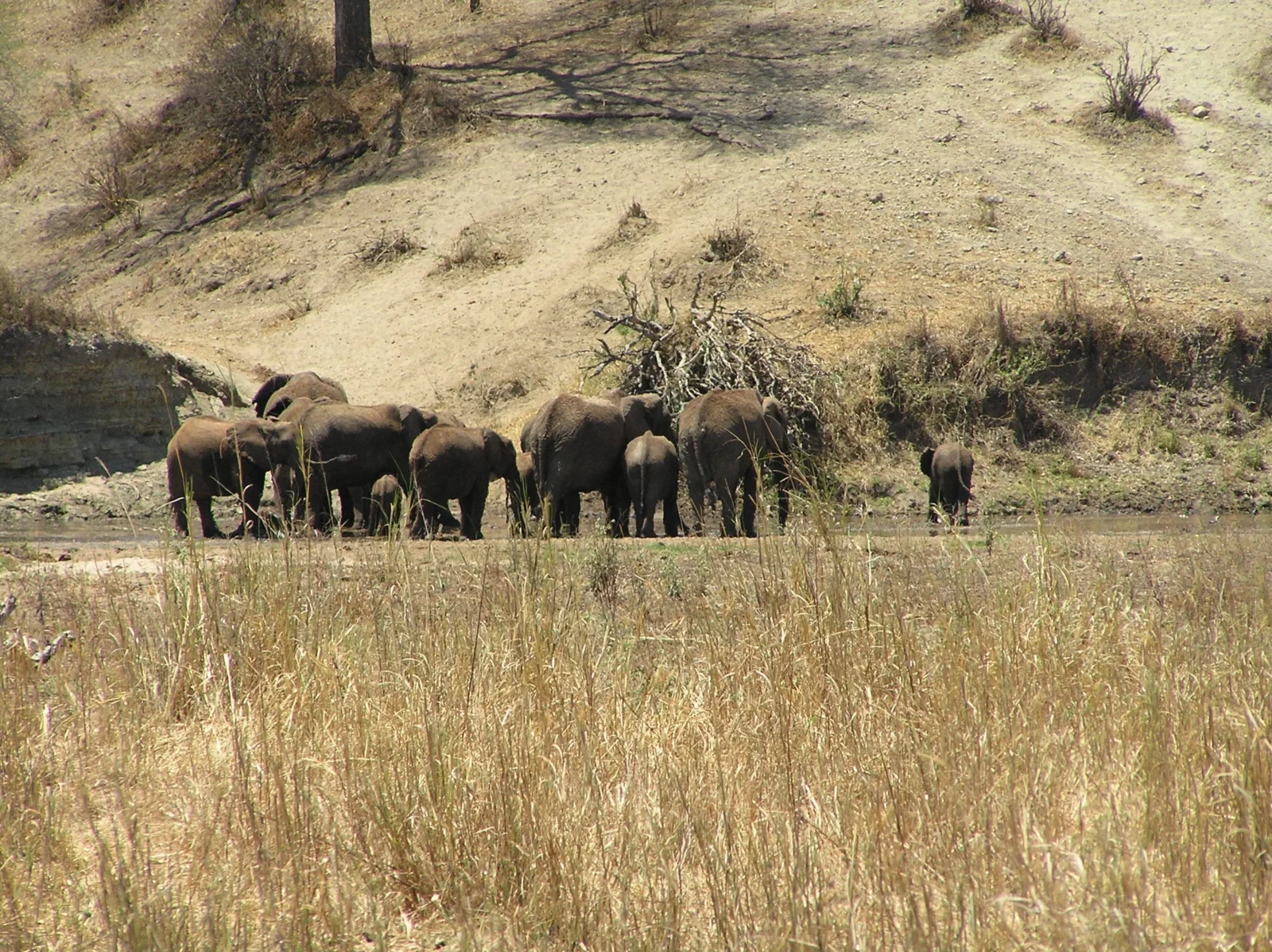 Serengeti Northern Circuit vs Southern Circuit