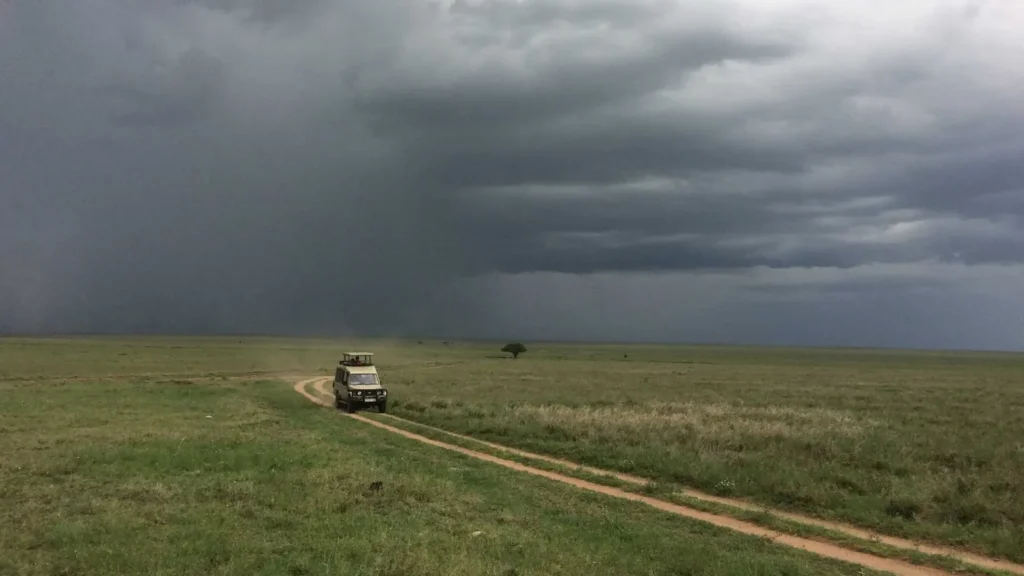 The Serengeti in the Short Rains