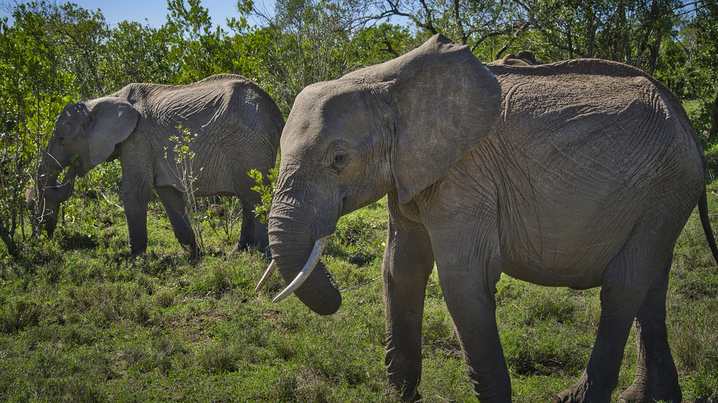 Laikipia Plateau