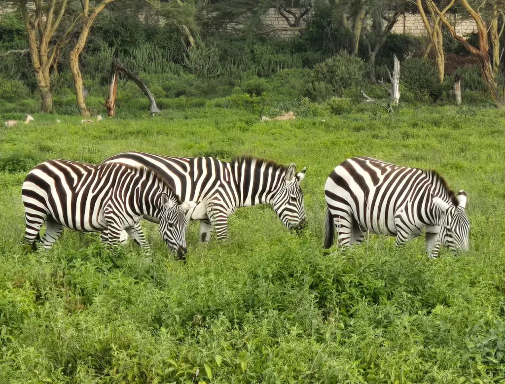 Crescent Island Game Sanctuary