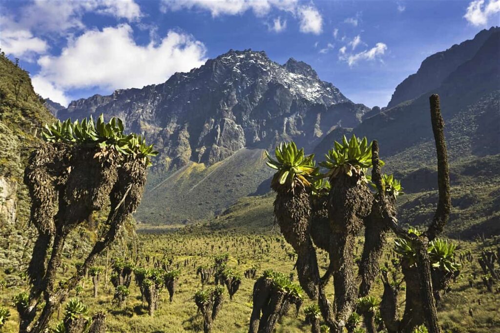 Exploring the Rwenzori Mountains