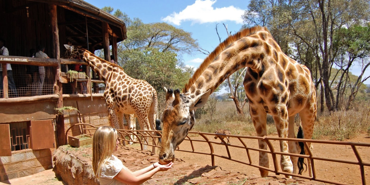 Giraffe Centre Nairobi