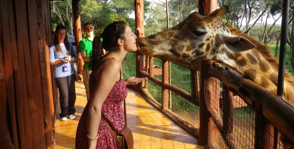 Giraffe Centre Nairobi