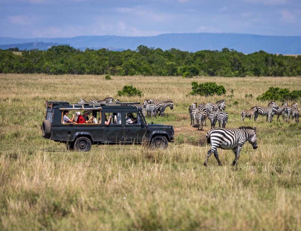 Kenya Safari Booking Tips