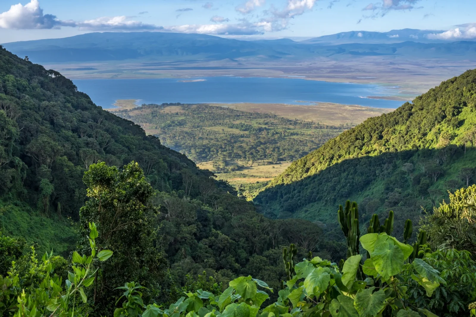 Ngorongoro Conservation Area