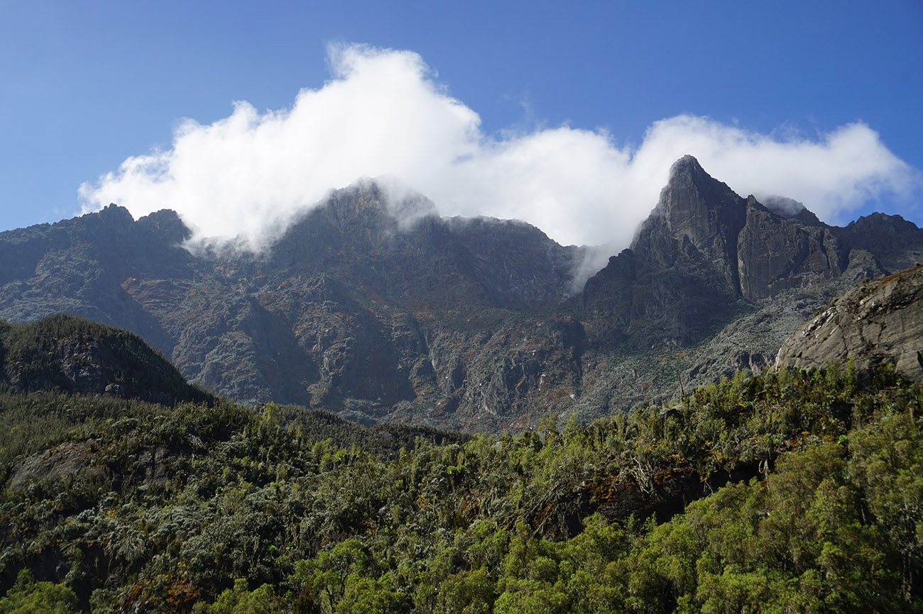 Rwenzori Mountains in Detail