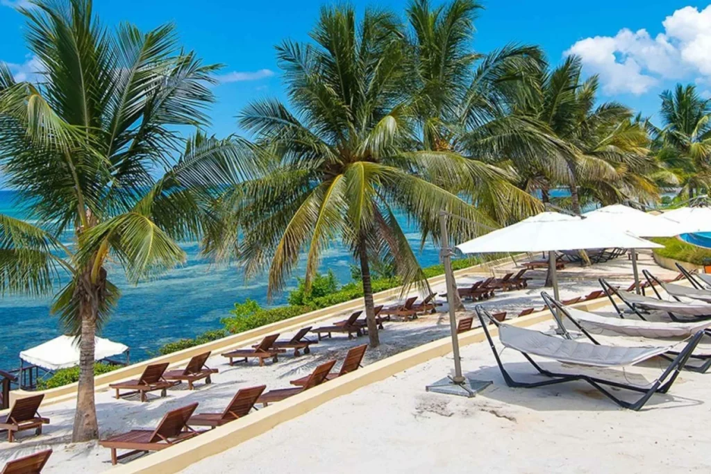 Safari + Zanzibar Beach Combo