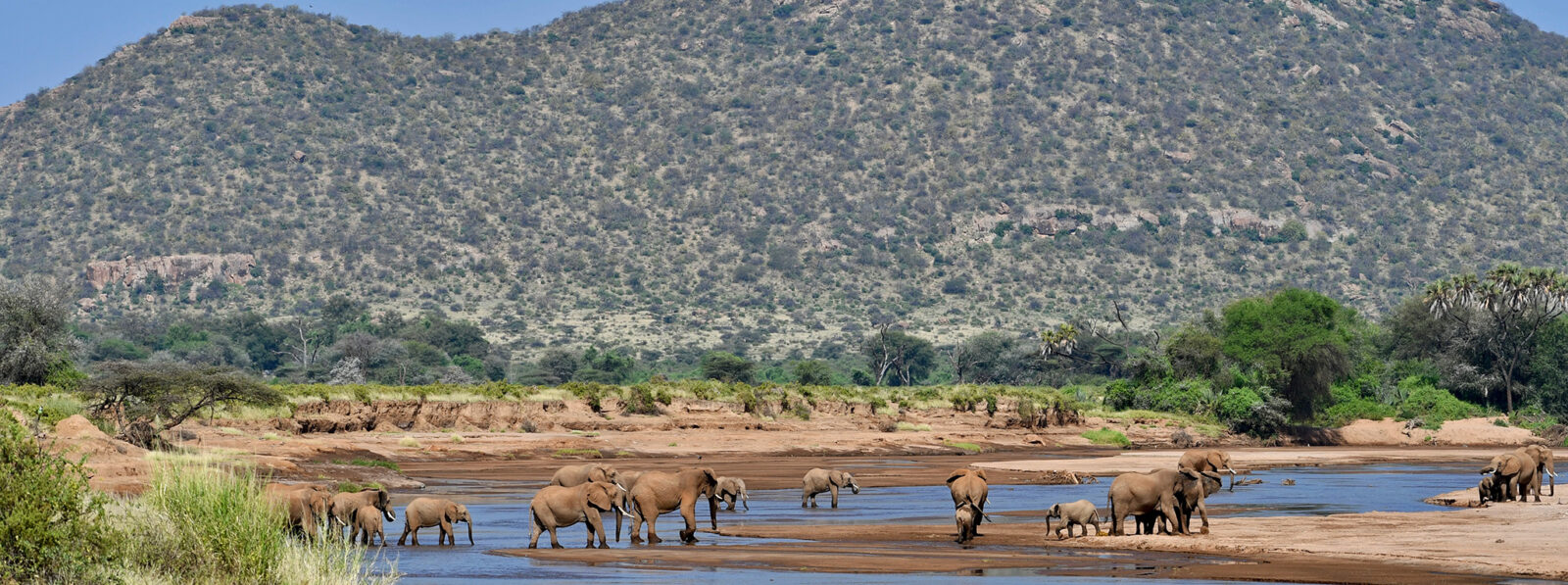 Samburu National Reserve