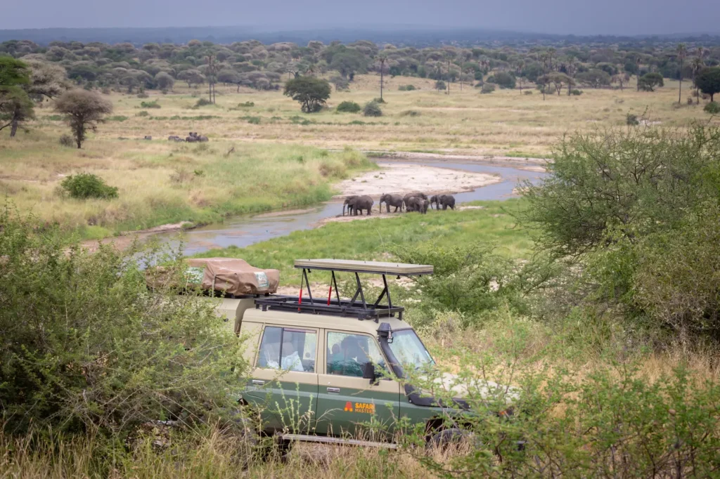 Tanzania Self-Drive Safari
