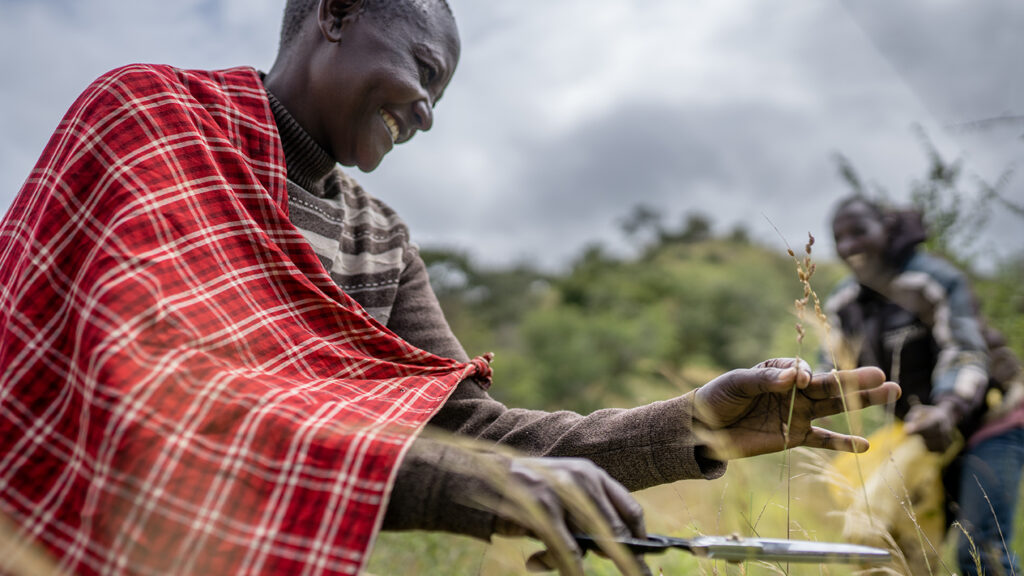 Tanzania's Maasai People