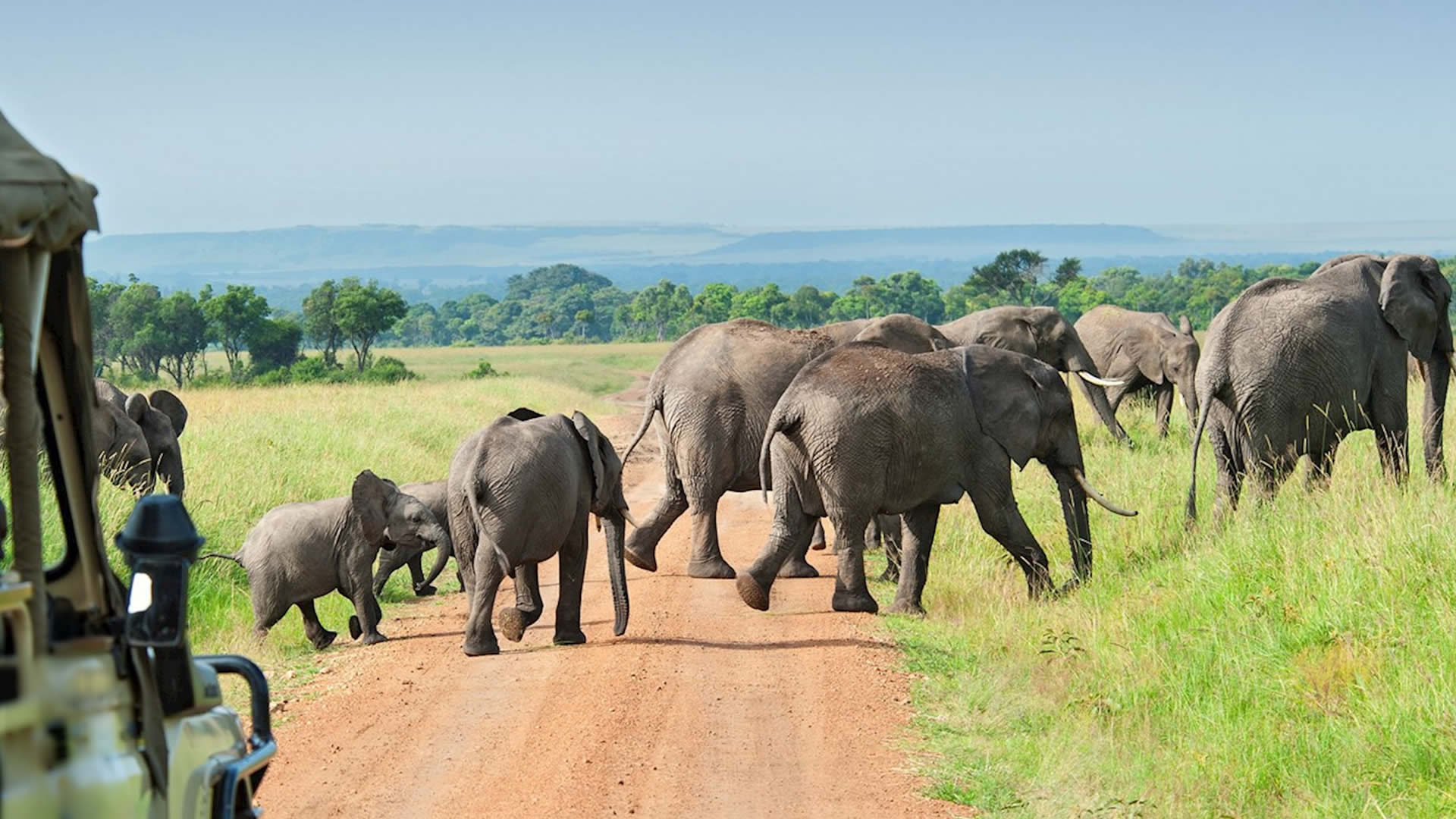 Tanzania's Selous (Nyerere) Game Reserve
