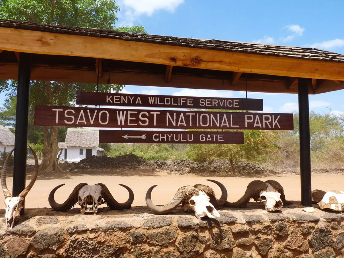 Tsavo East National Park vs Tsavo West National Park