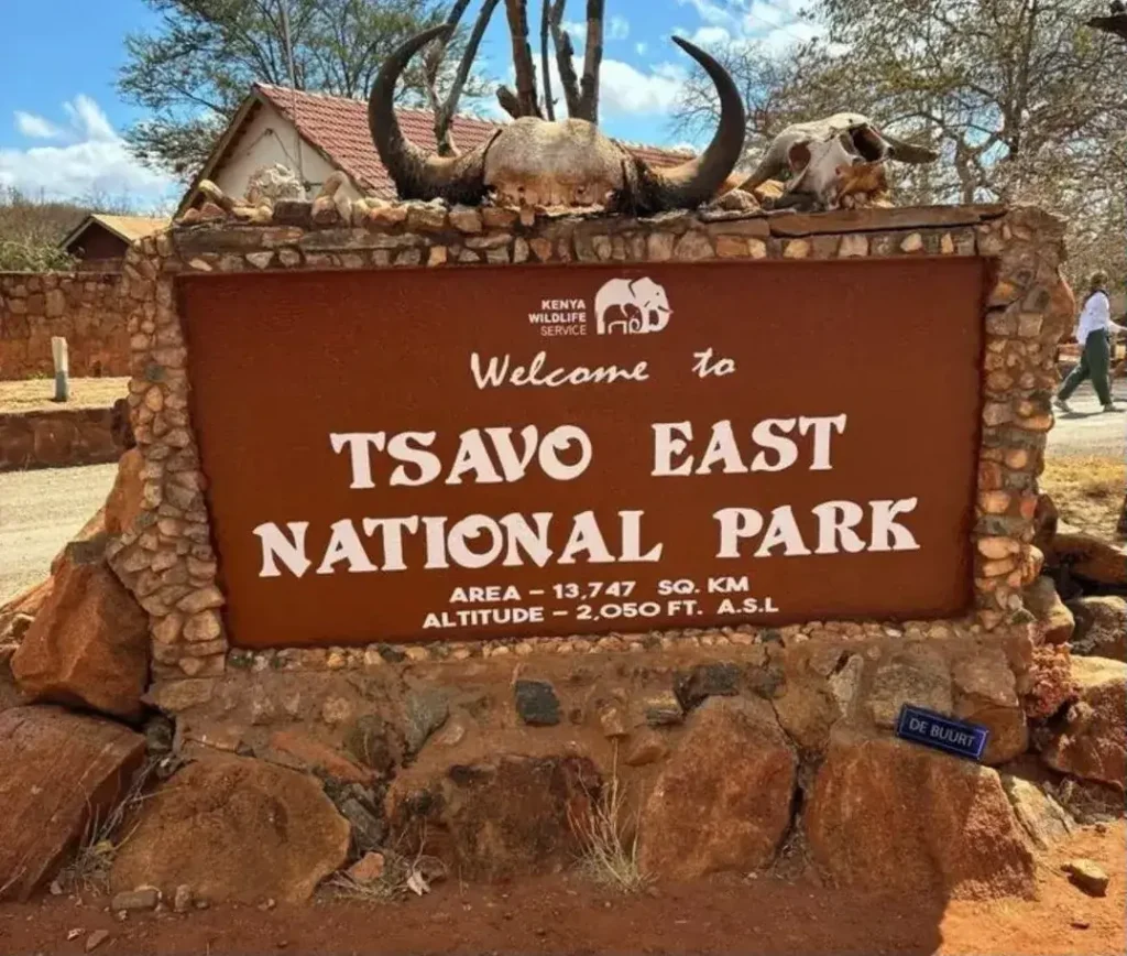 Tsavo East National Park vs Tsavo West National Park