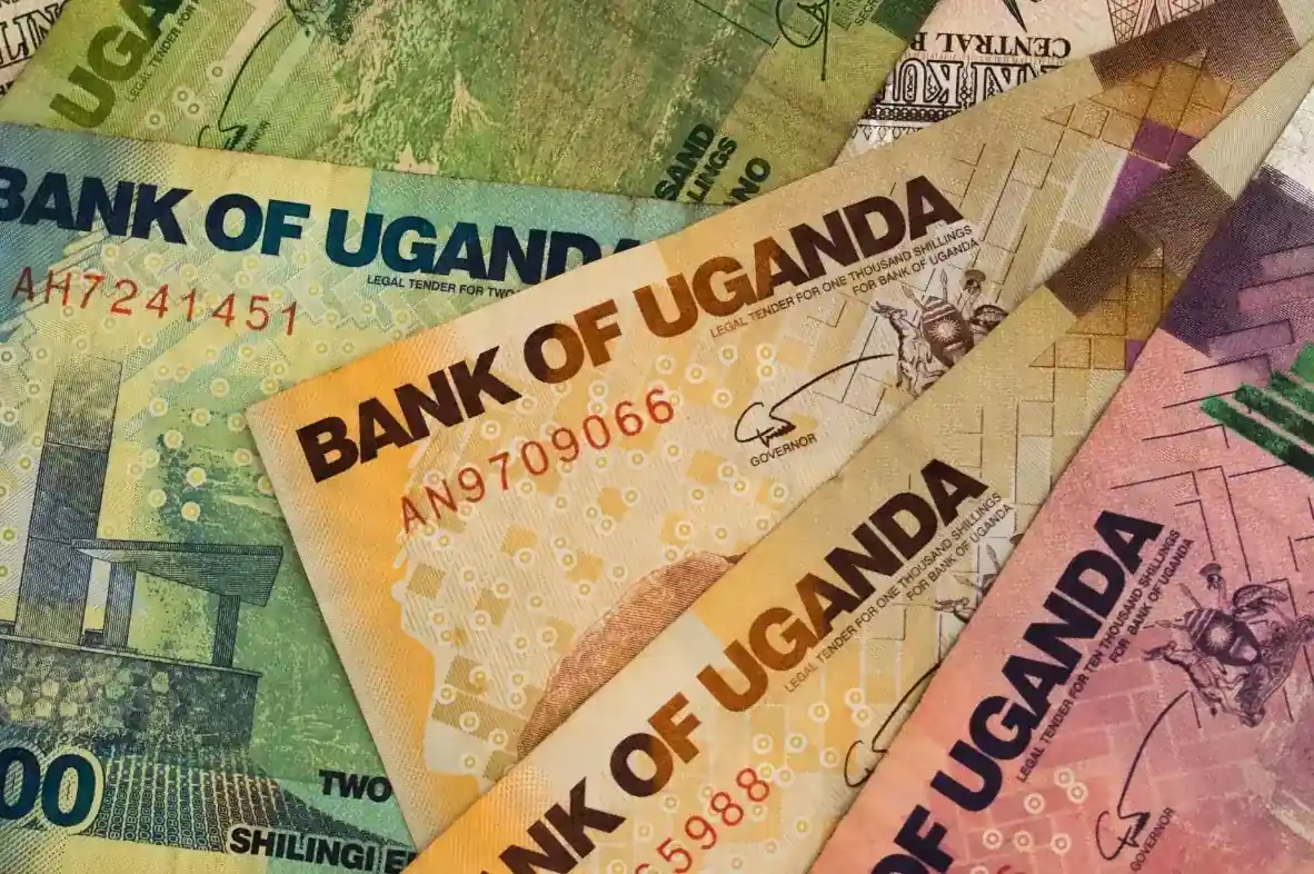 Uganda Currency and Money Tips for Safari Travellers