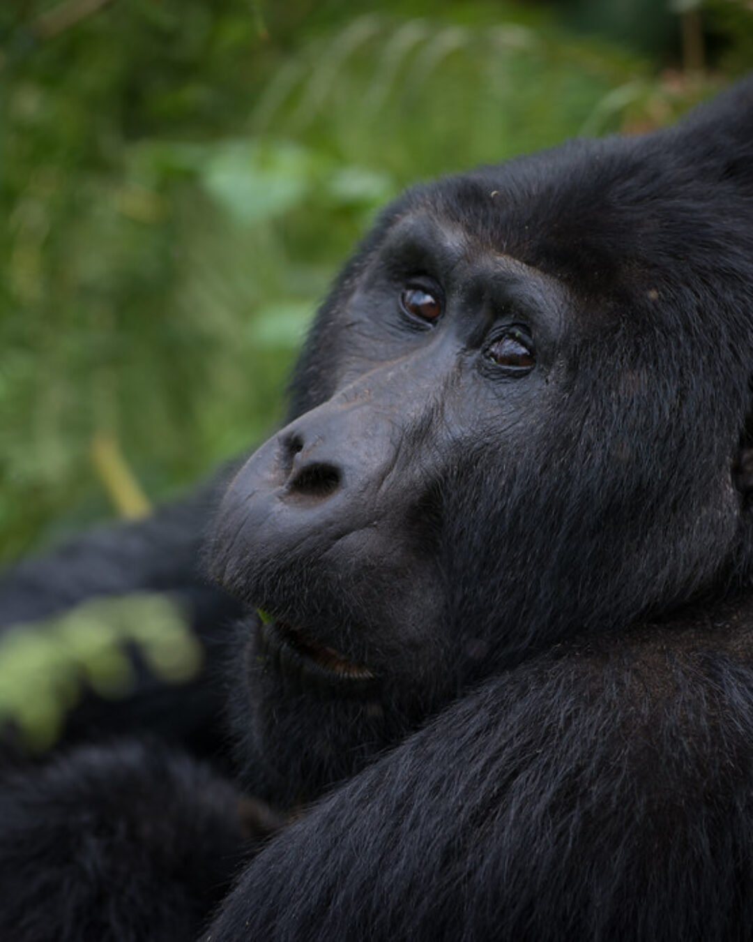 25145277180_a6c9d94f07_b