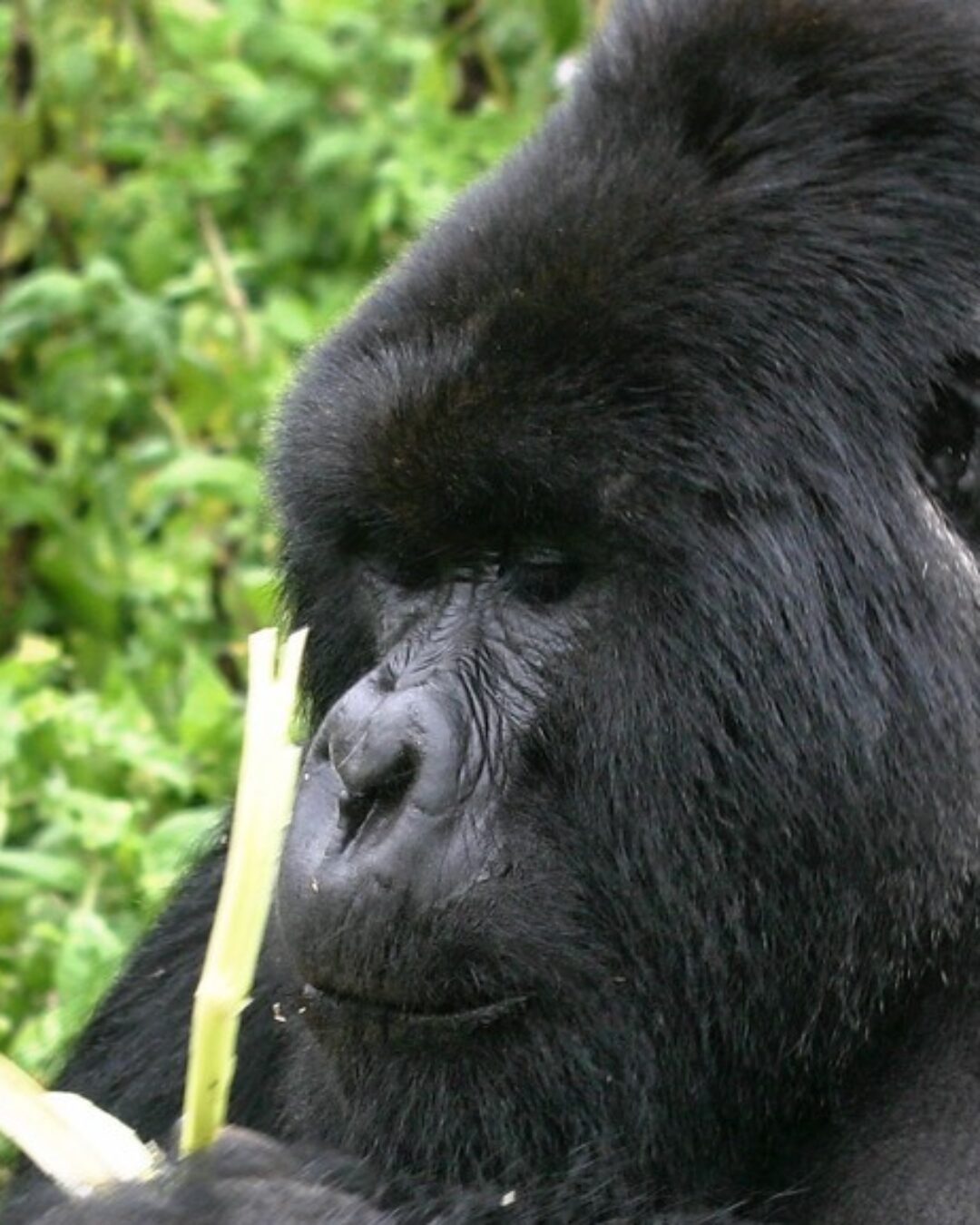 29456040550_f91051cc2e_h