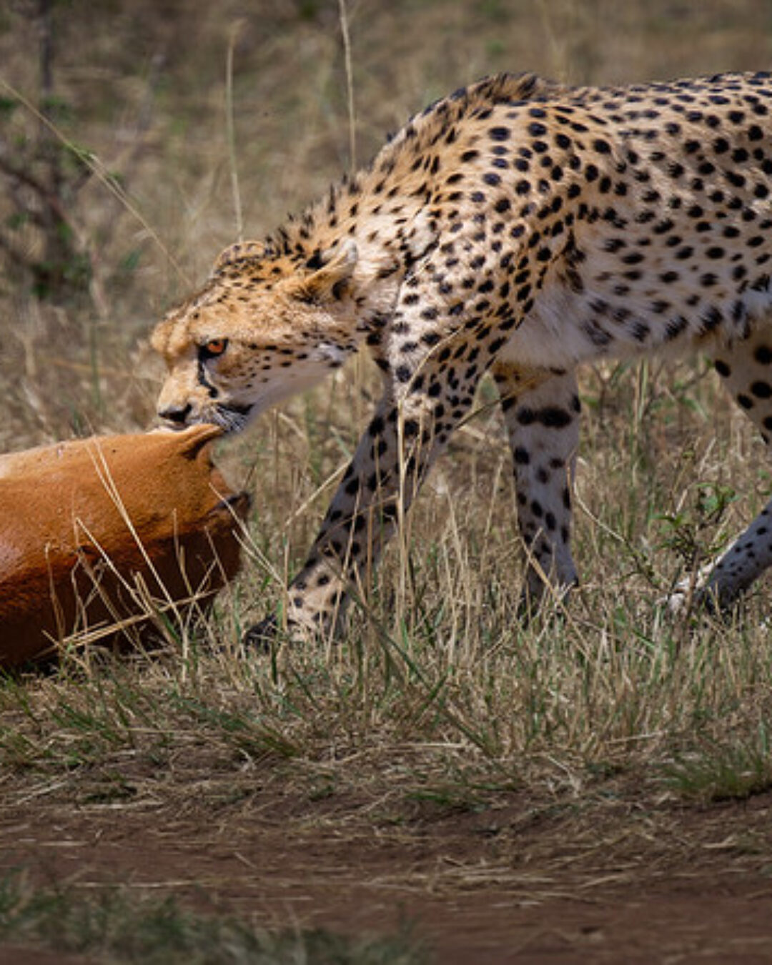 53378567224_b12f7d8ed6_c