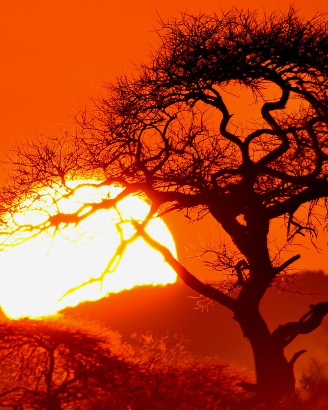 Amboseli National Park2