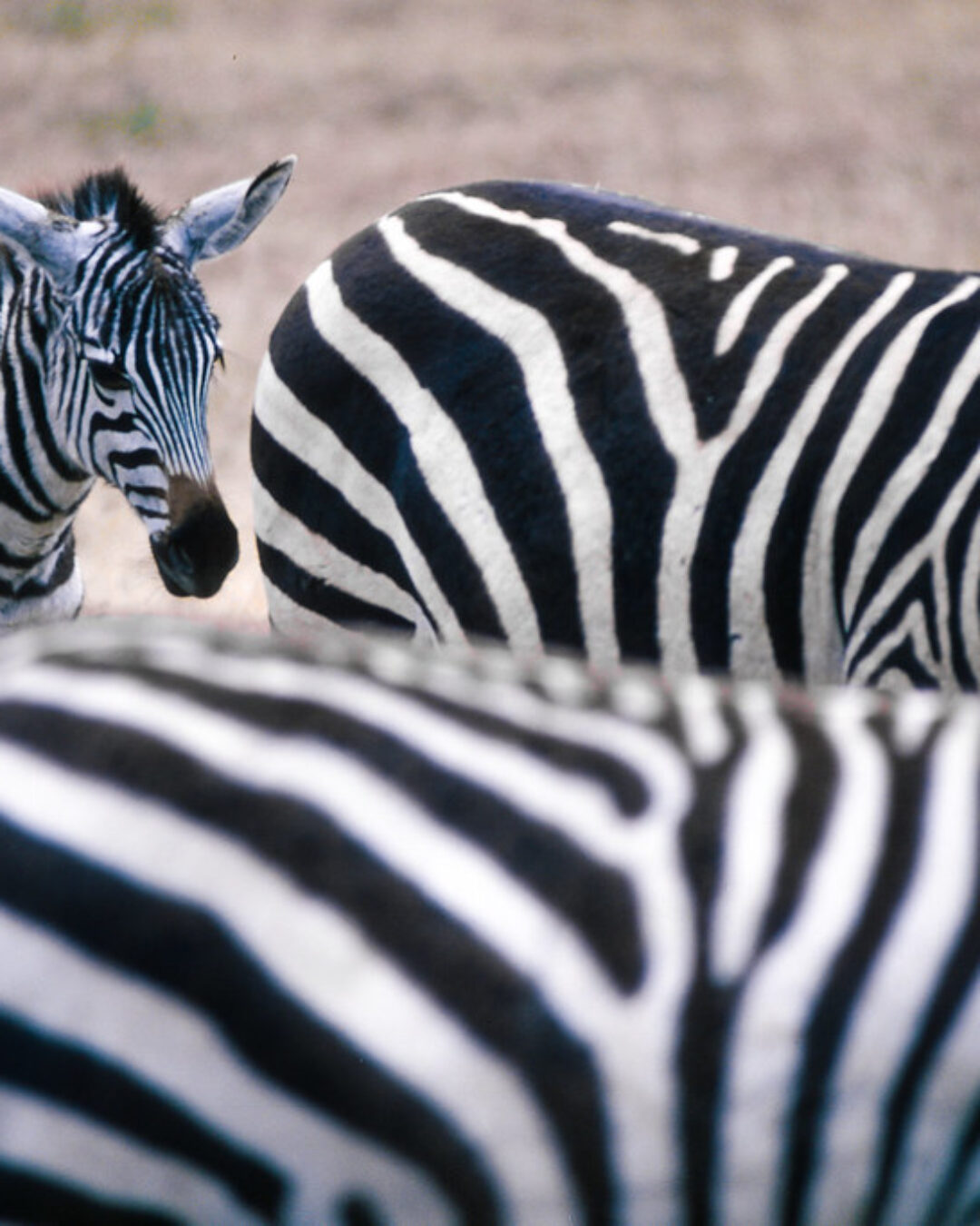 Serengeti National Park